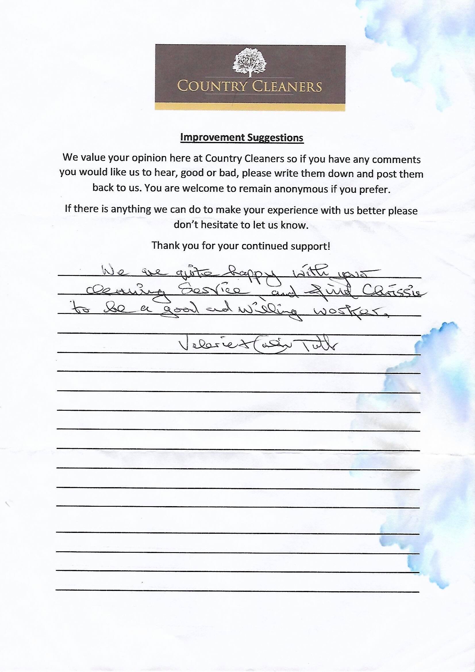 Recommendation for Country Cleaners