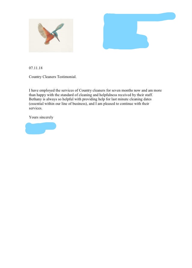 recommendation for Country Cleaners