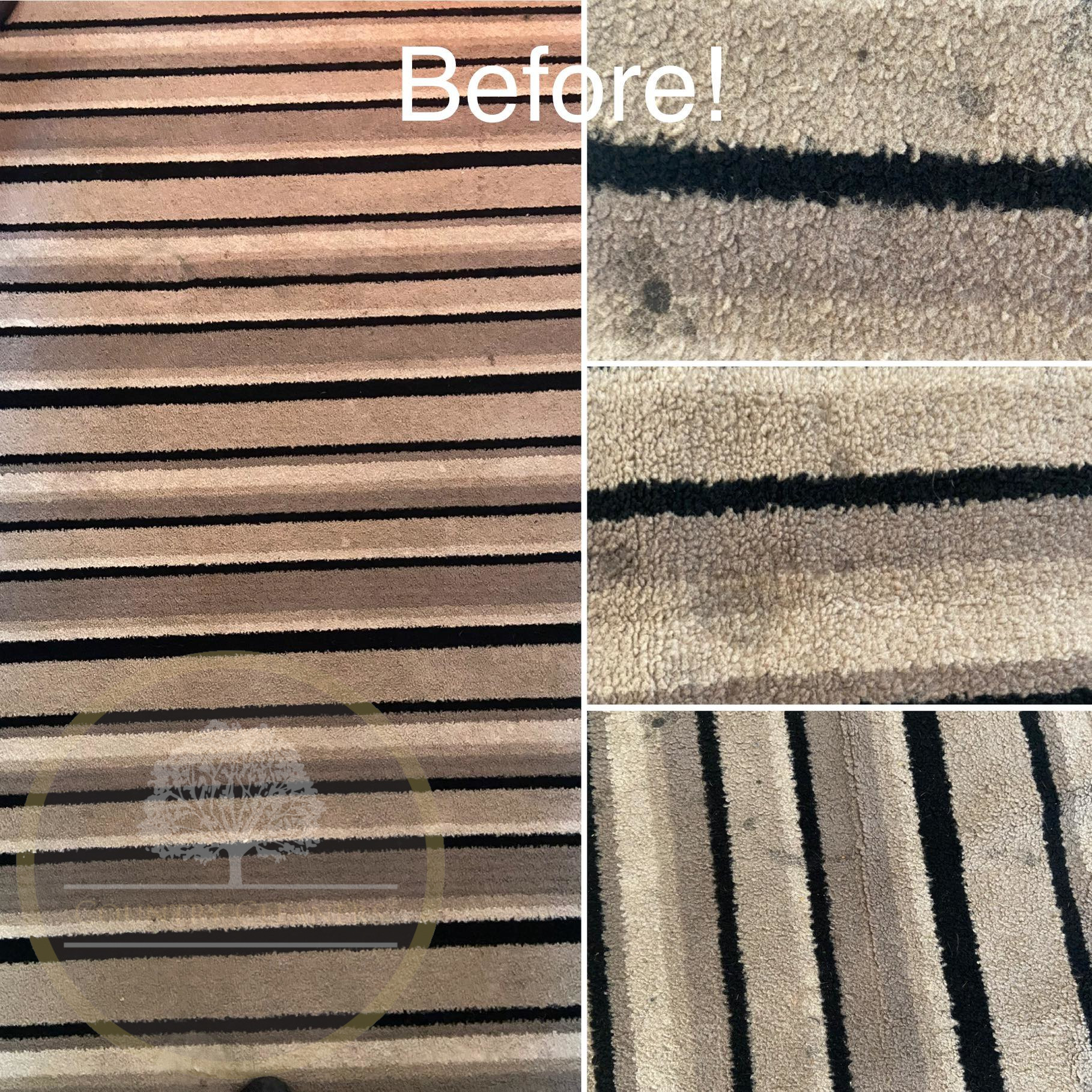 Picture of a carpet before a professional carpet cleaning service